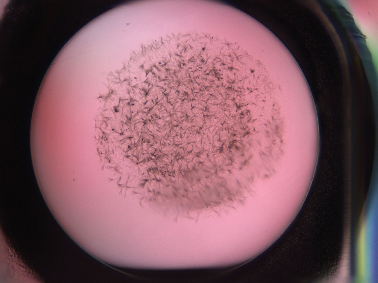 0381_F1_ImagerDefaults_6.jpg