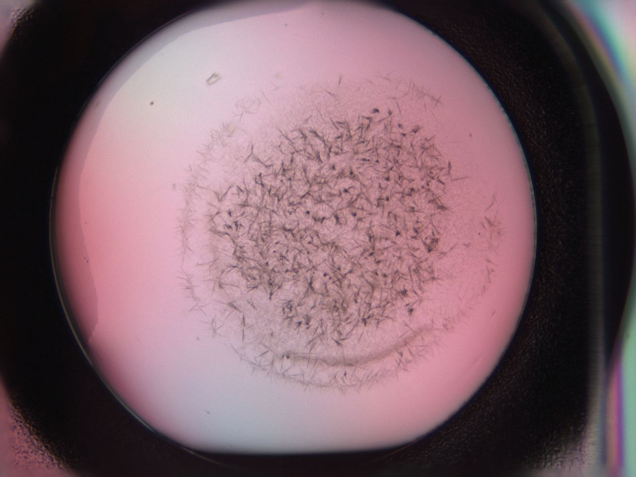 0381_F3_ImagerDefaults_6.jpg