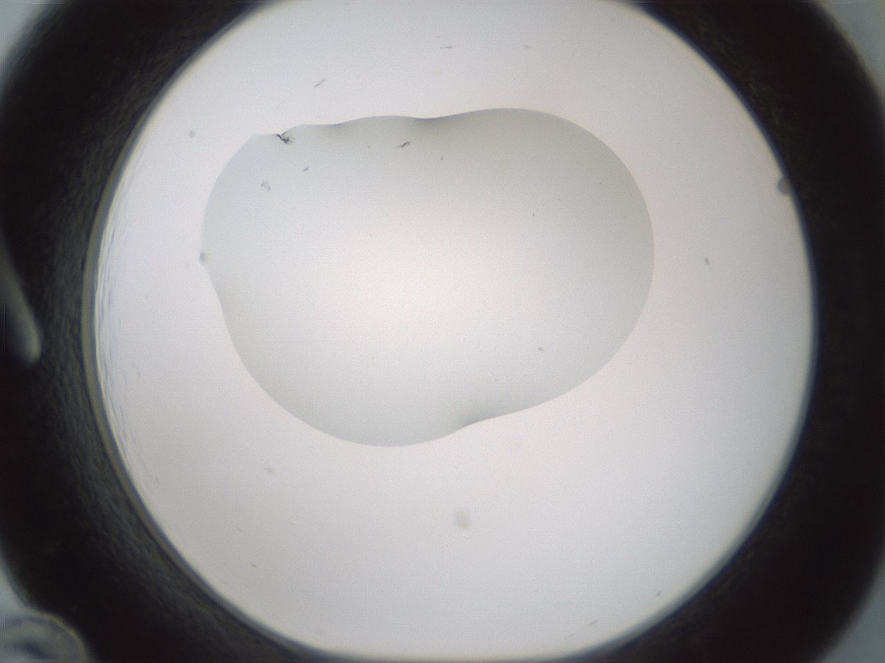 folderID406_plateID1406_batchID5148_wellNum12_profileID1_d1_r85949_ef.jpg