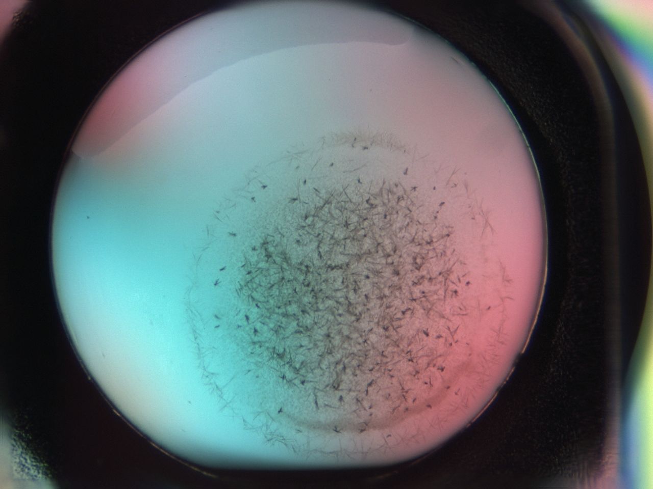 0381_F4_ImagerDefaults_6.jpg