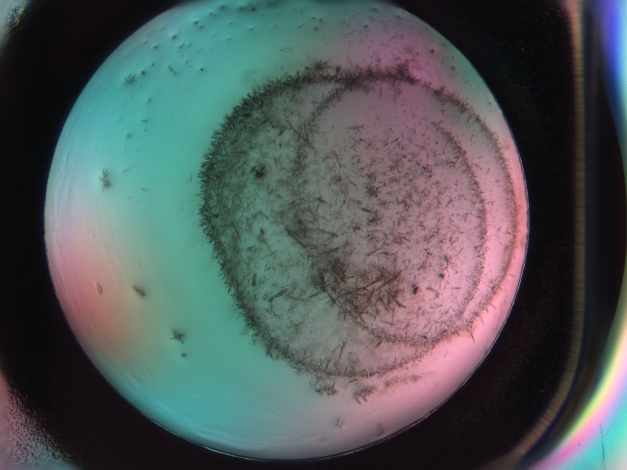 0381_F5_ImagerDefaults_6.jpg