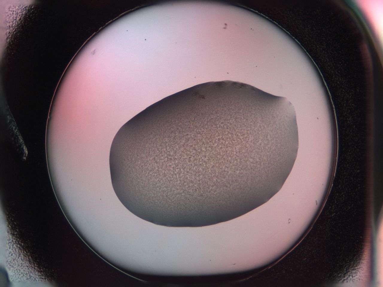 0381_A3_ImagerDefaults_6.jpg