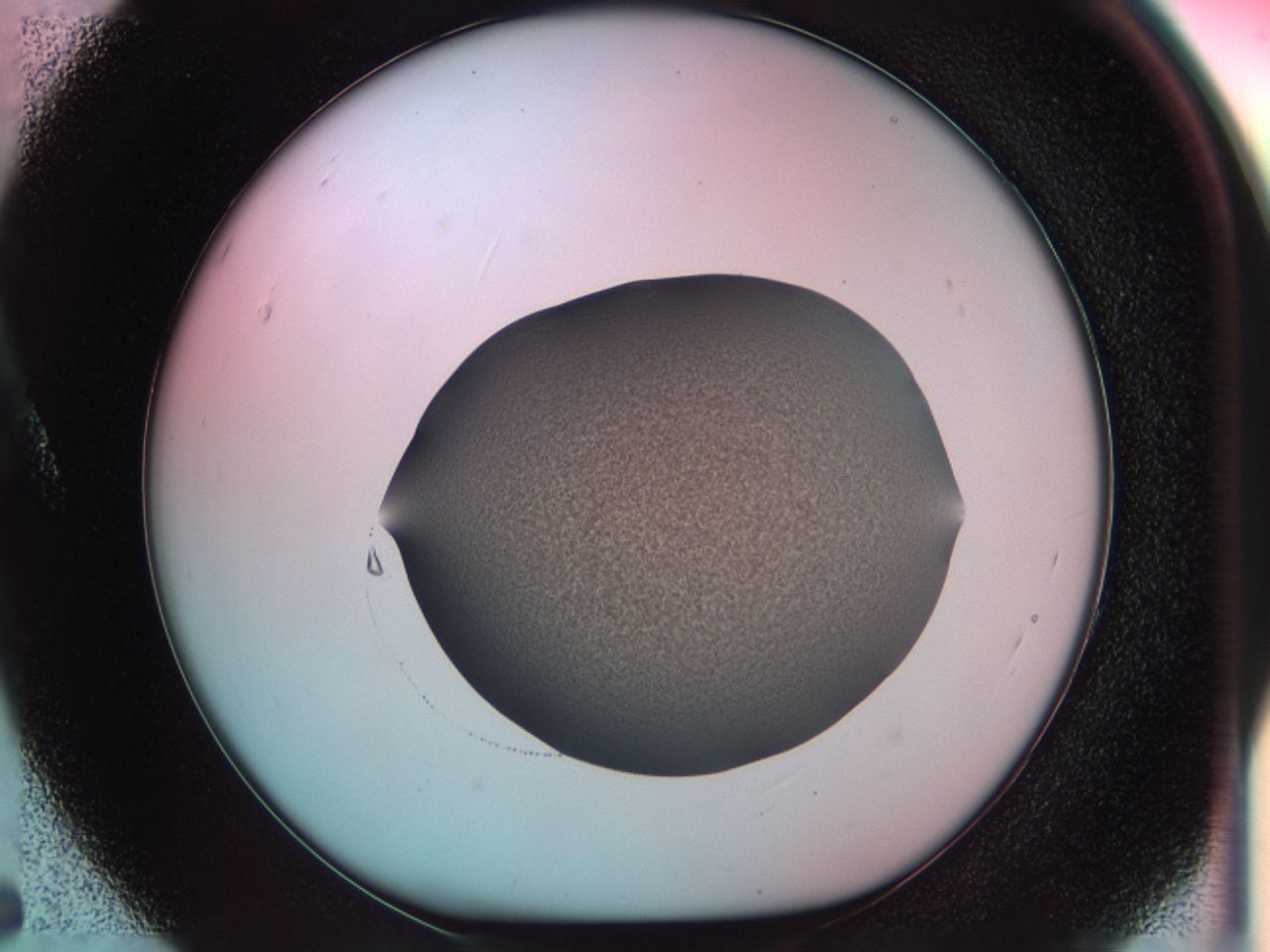0381_A5_ImagerDefaults_6.jpg
