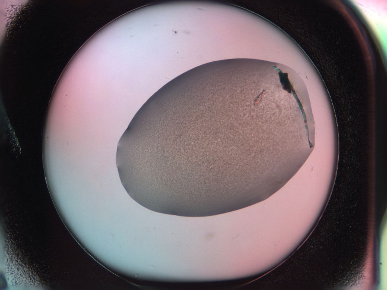 0381_A6_ImagerDefaults_6.jpg