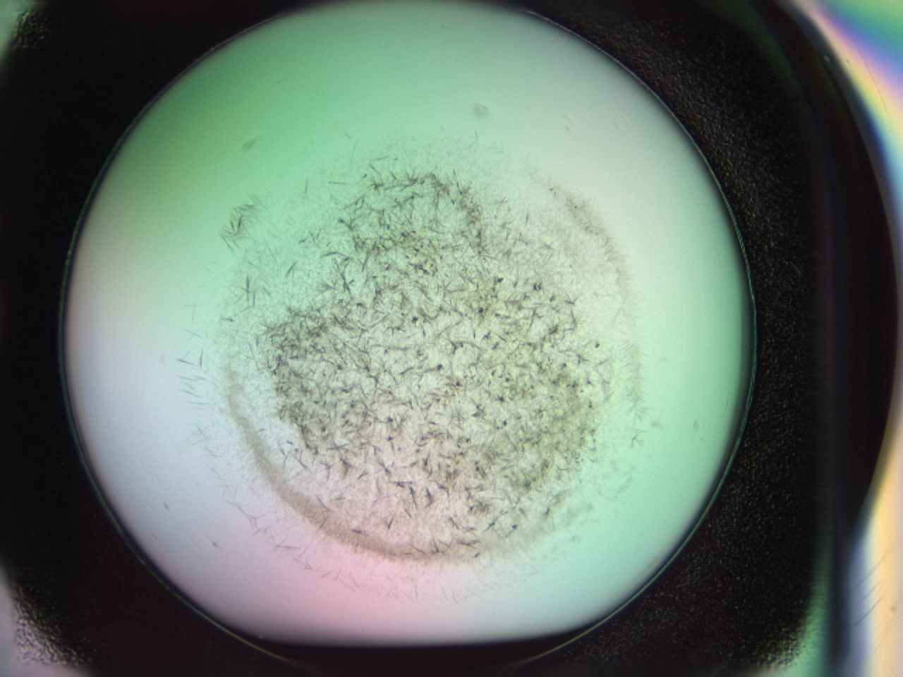0381_G2_ImagerDefaults_6.jpg