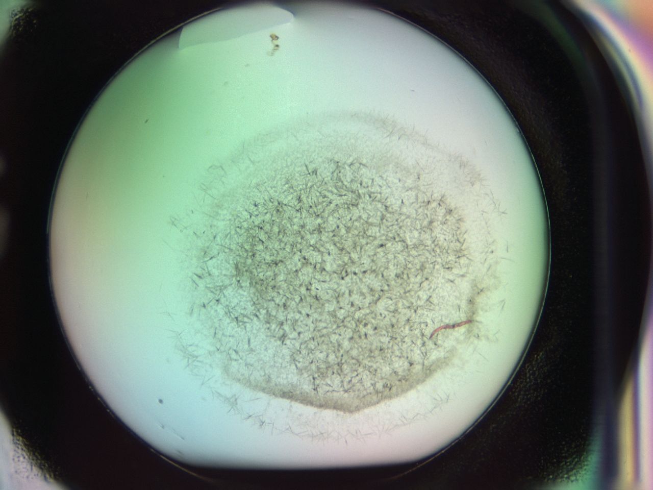 0381_G3_ImagerDefaults_6.jpg