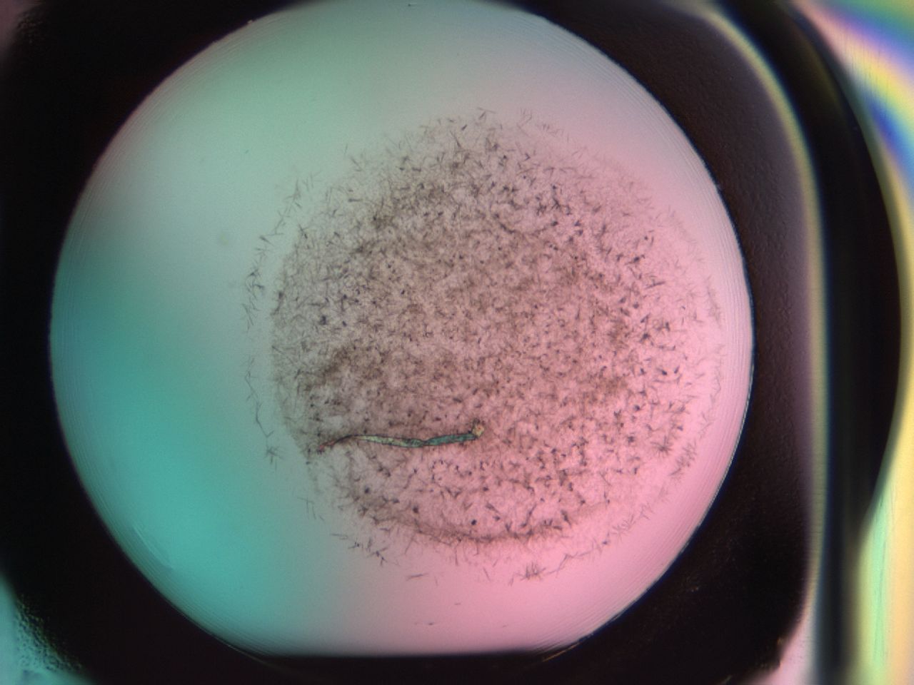 0381_H1_ImagerDefaults_6.jpg