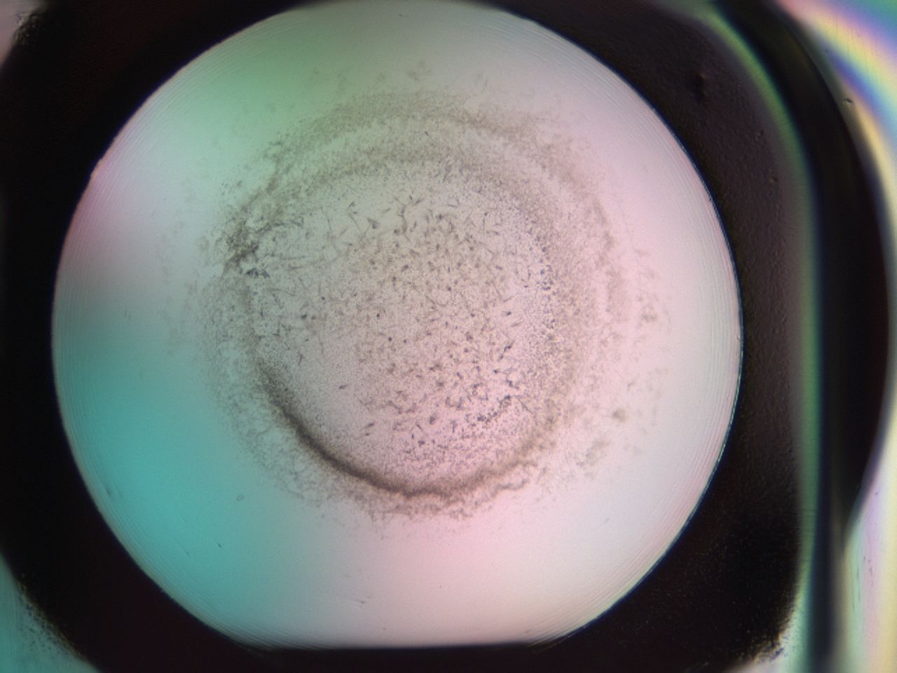 0381_H2_ImagerDefaults_6.jpg