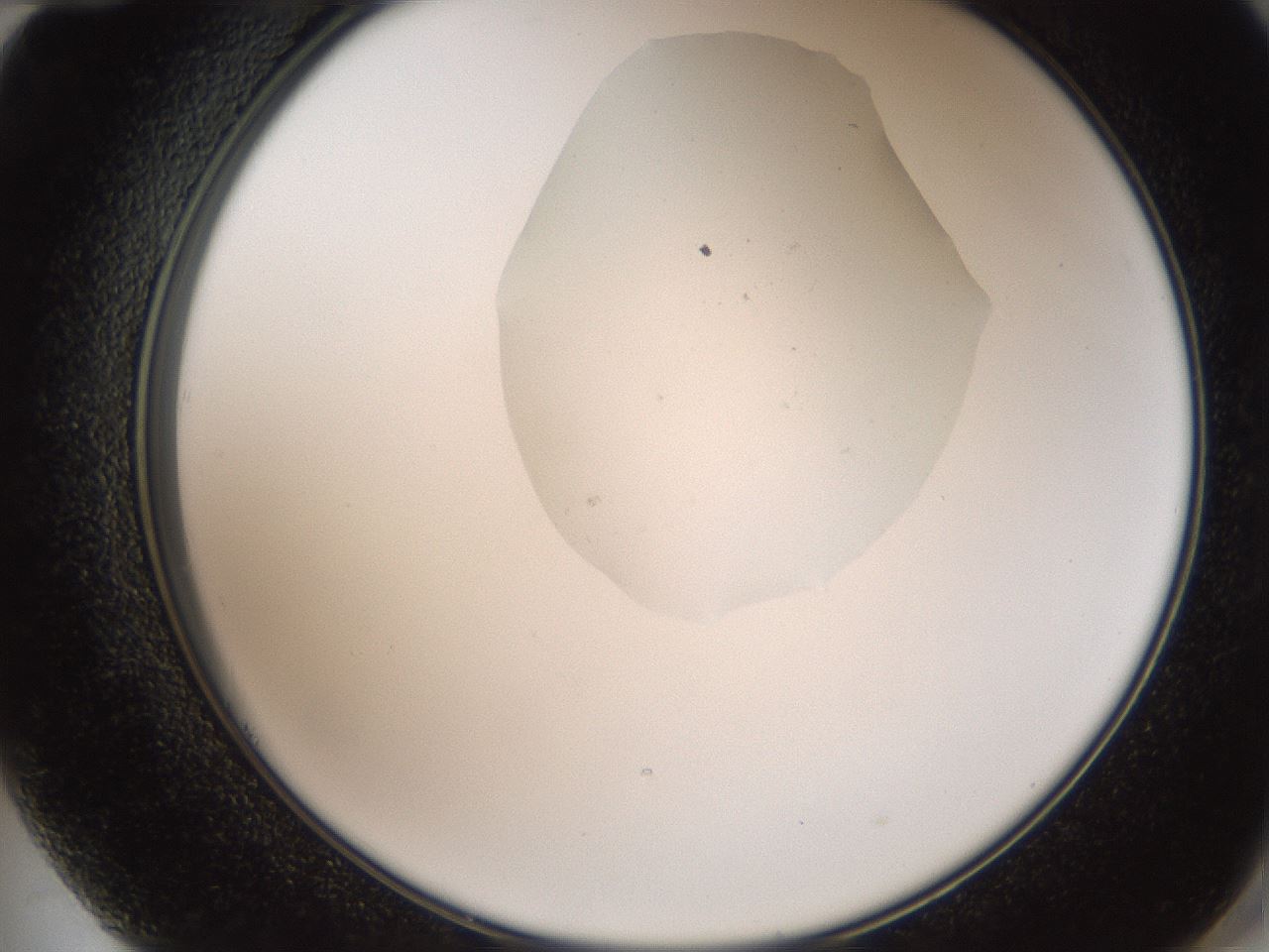 folderID408_plateID2408_batchID11615_wellNum72_profileID1_d2_r178674_ef.jpg