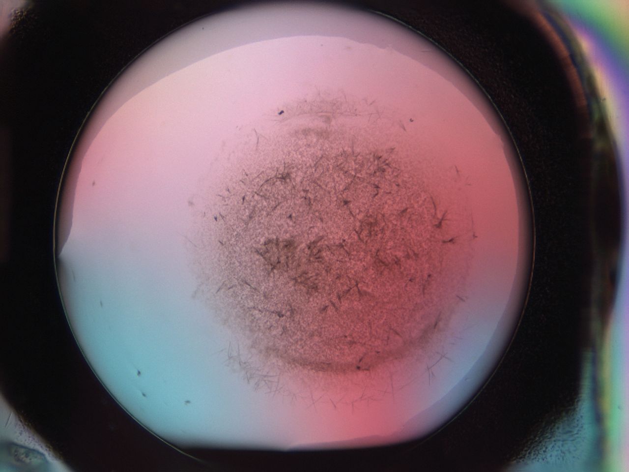 0381_H12_ImagerDefaults_6.jpg