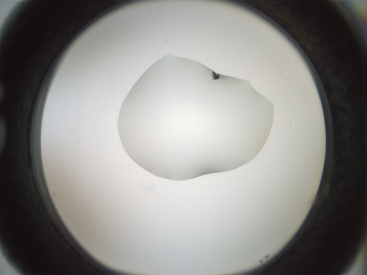 folderID409_plateID1409_batchID5184_wellNum77_profileID1_d1_r86494_ef.jpg