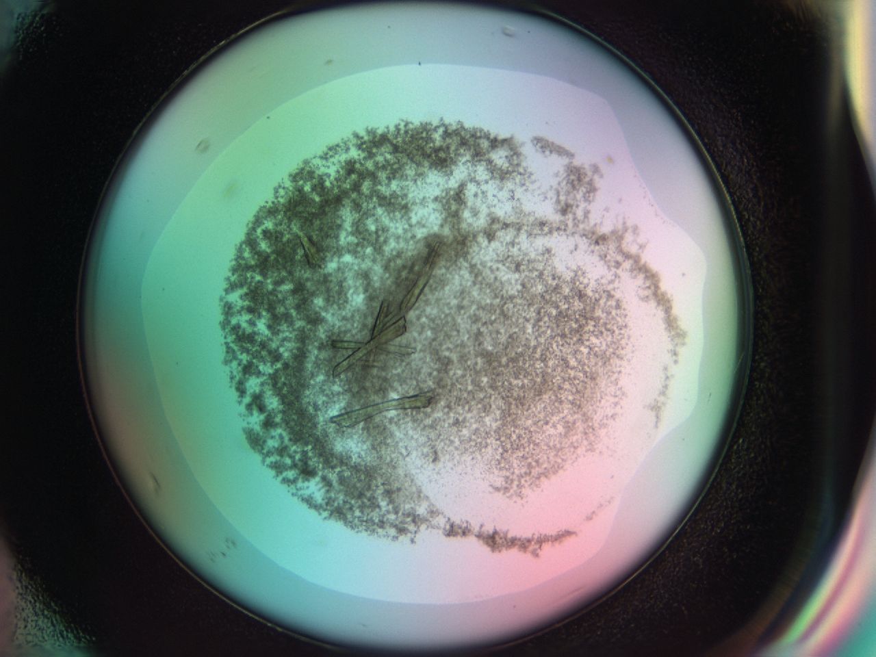 0384_F7_ImagerDefaults_7.jpg