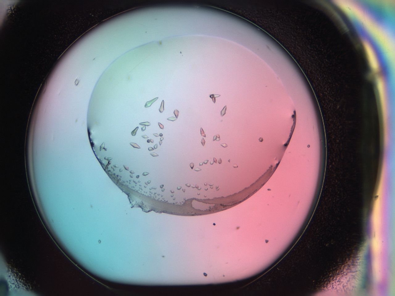 038c_H11_ImagerDefaults_9.jpg