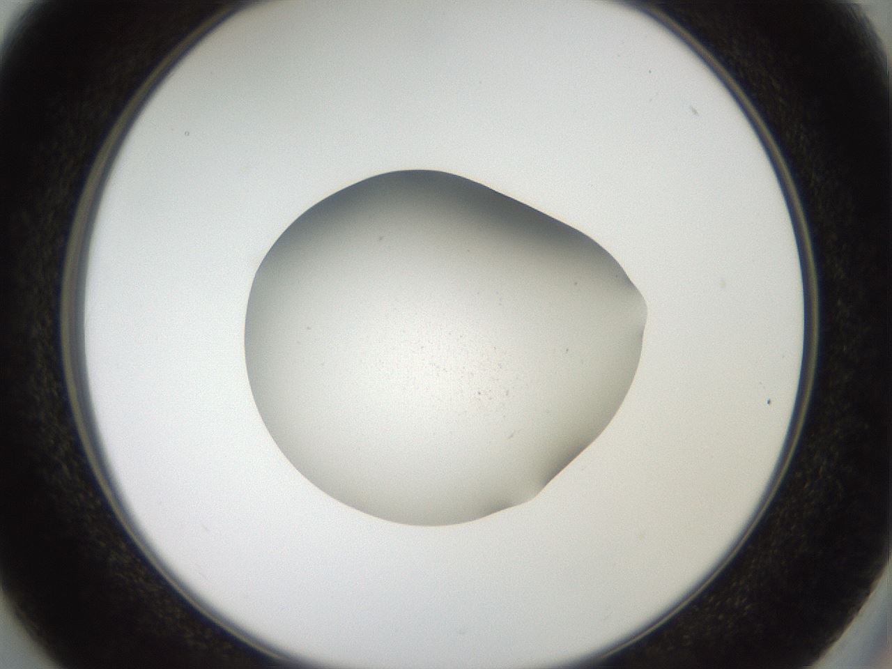 folderID40_plateID2040_batchID8993_wellNum37_profileID1_d2_r137536_ef.jpg