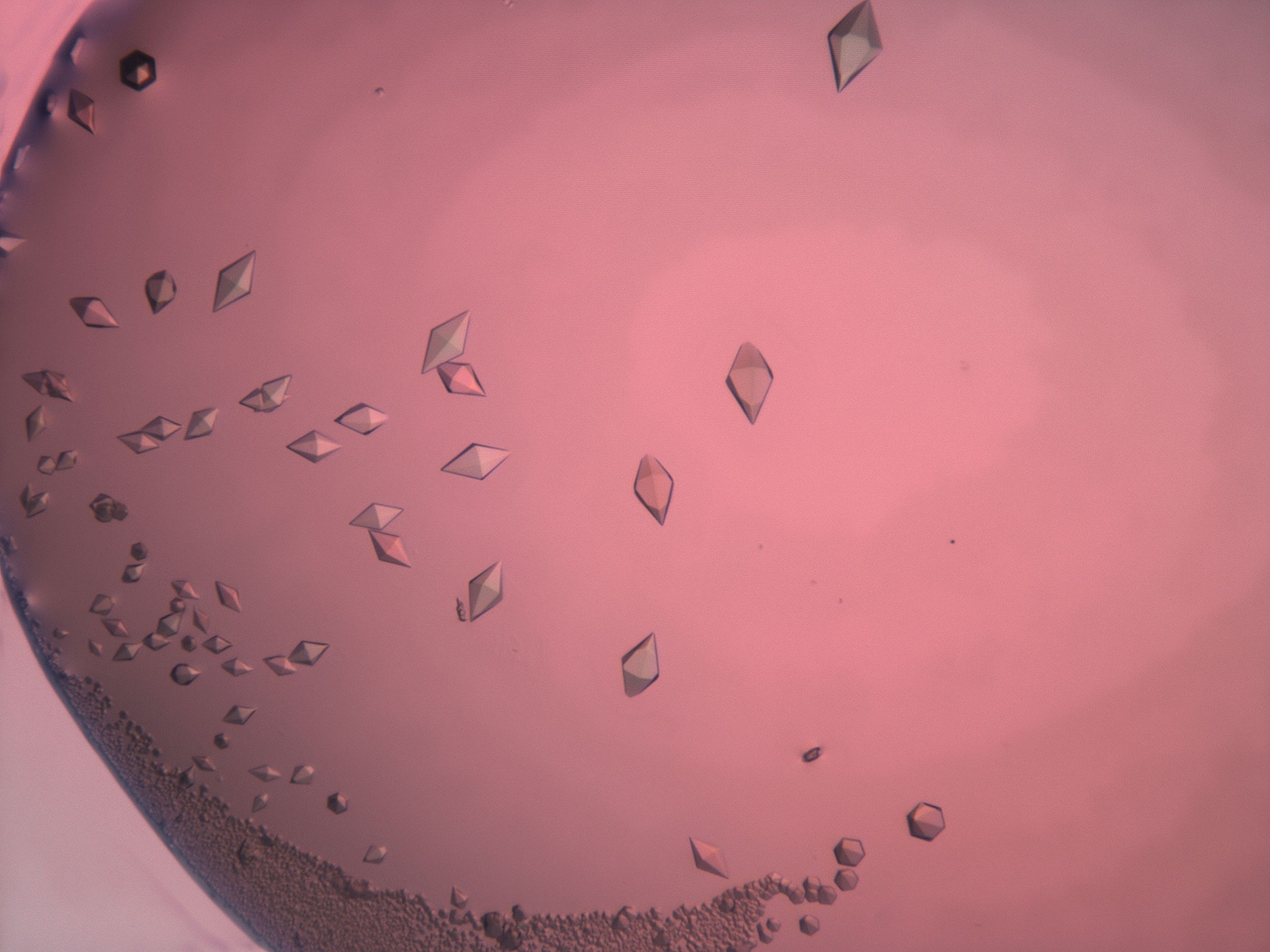 038c_B1_HighResolution_9.jpg