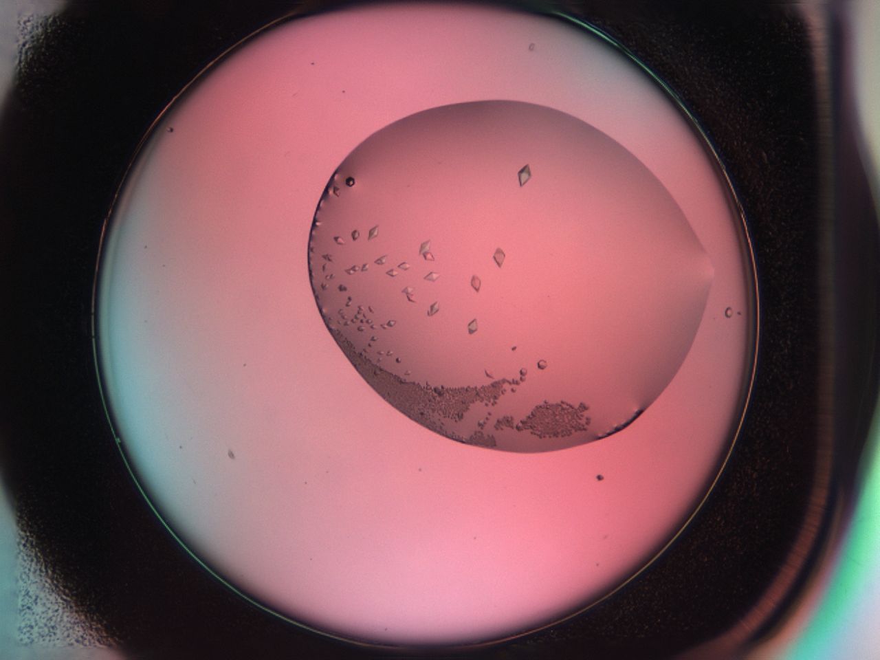 038c_B1_ImagerDefaults_9.jpg