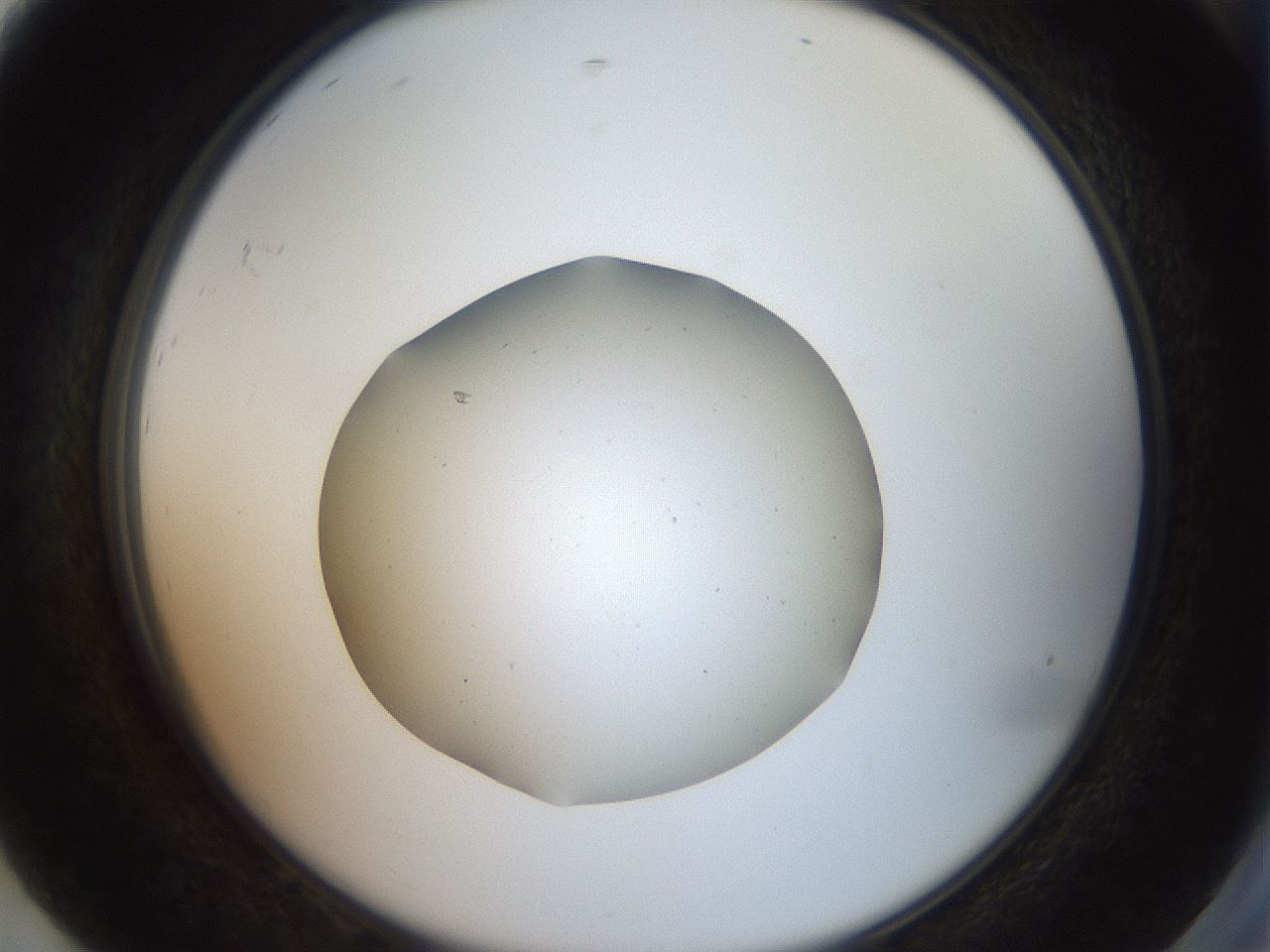 folderID40_plateID2040_batchID8993_wellNum92_profileID1_d2_r137646_ef.jpg