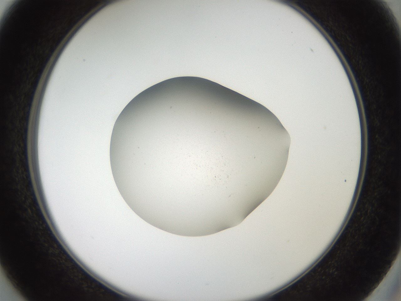 folderID40_plateID2040_batchID9008_wellNum37_profileID1_d2_r137536_ef.jpg