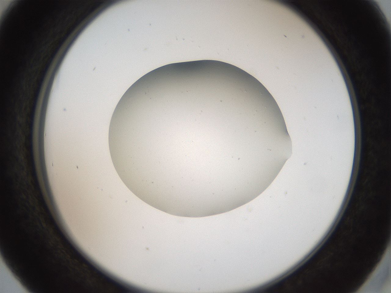 folderID40_plateID2040_batchID9008_wellNum41_profileID1_d2_r137544_ef.jpg