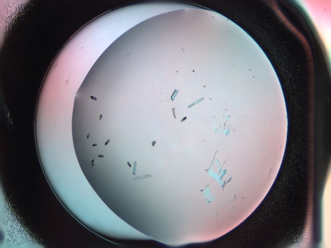038d_A5_ImagerDefaults_9.jpg