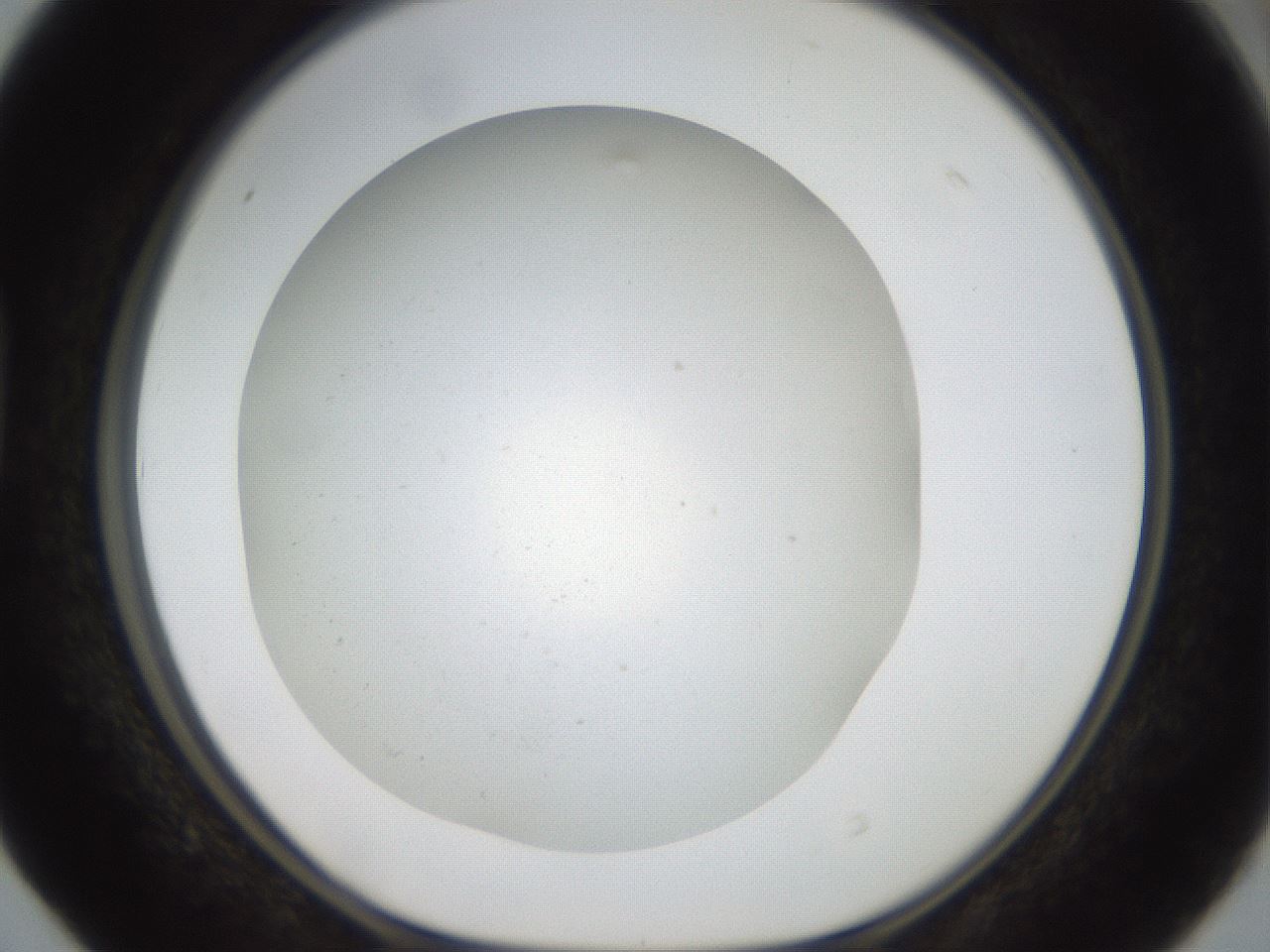 folderID40_plateID2040_batchID9008_wellNum40_profileID1_d1_r137541_ef.jpg