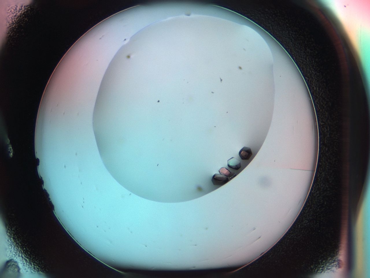 038e_A11_ImagerDefaults_9.jpg