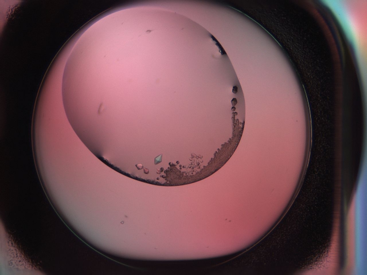 038e_D2_ImagerDefaults_9.jpg