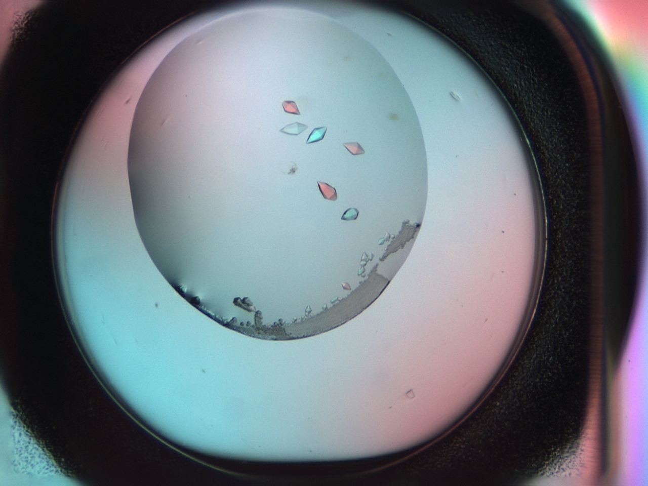038e_D4_ImagerDefaults_9.jpg
