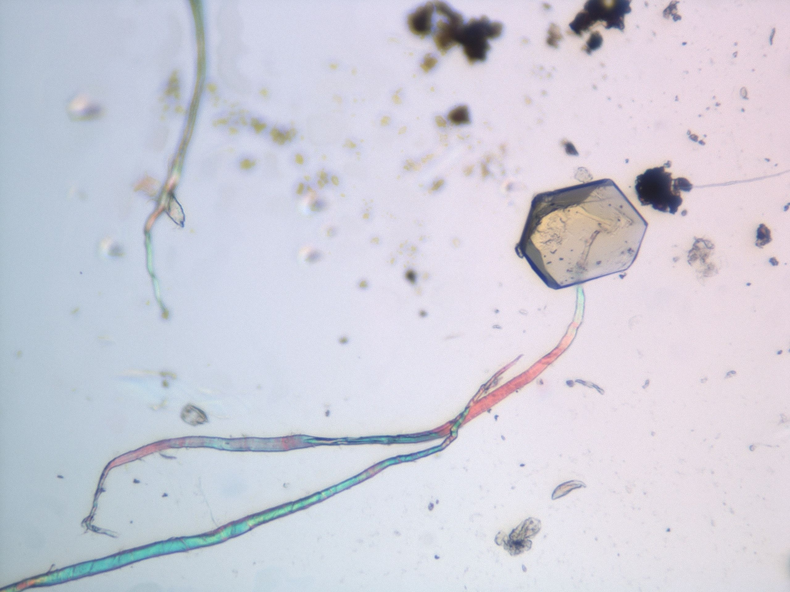 038e_H7_HighResolution_9.jpg