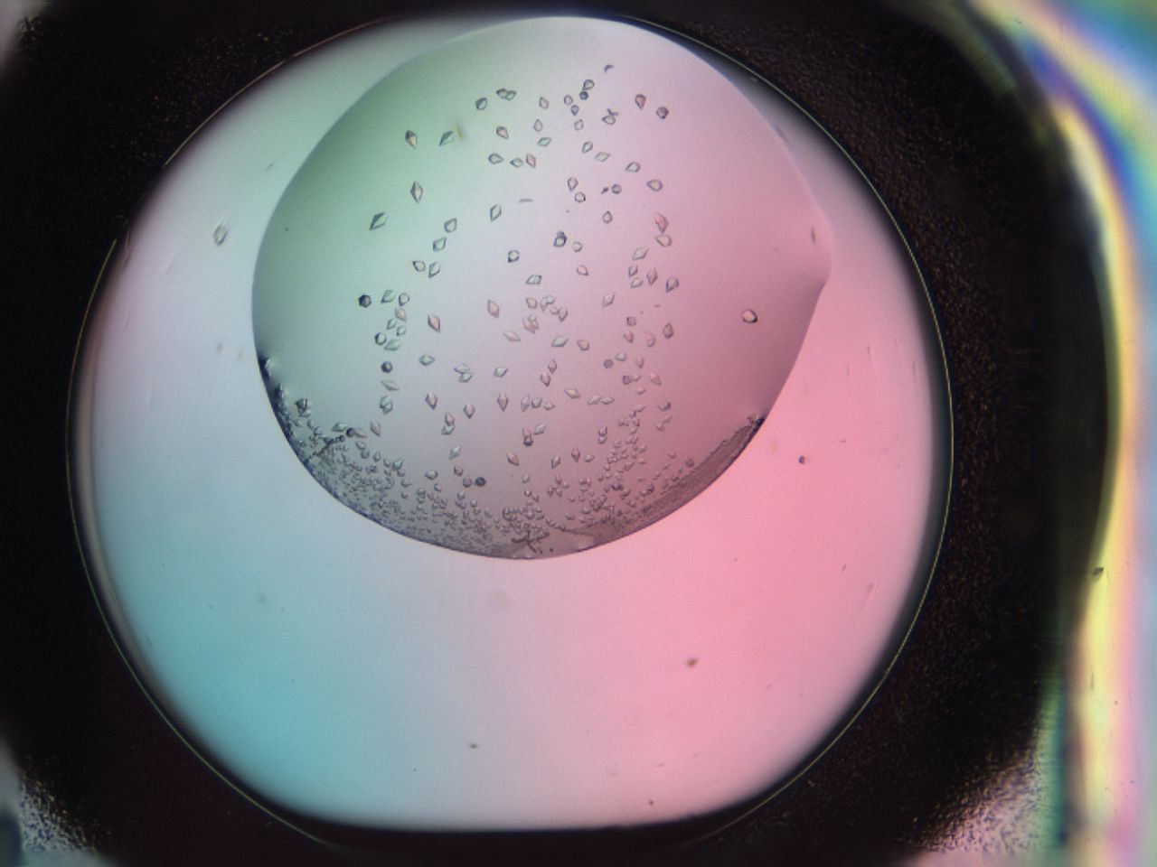 038e_H11_ImagerDefaults_9.jpg