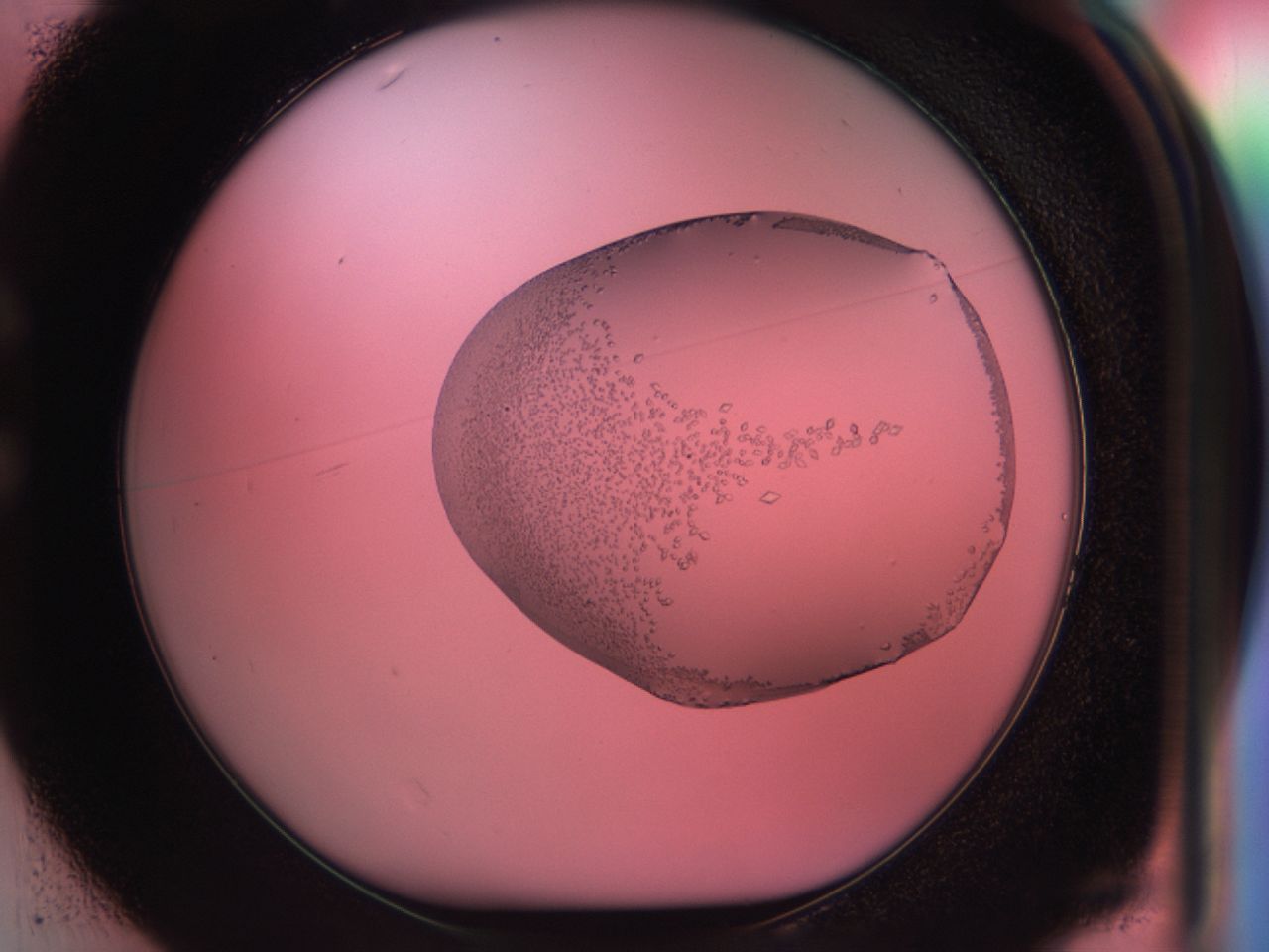038f_C1_ImagerDefaults_9.jpg