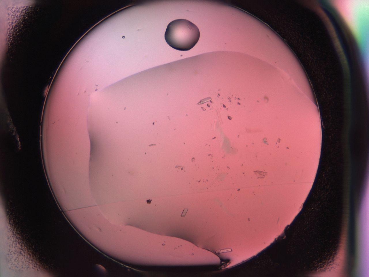 038f_A1_ImagerDefaults_9.jpg