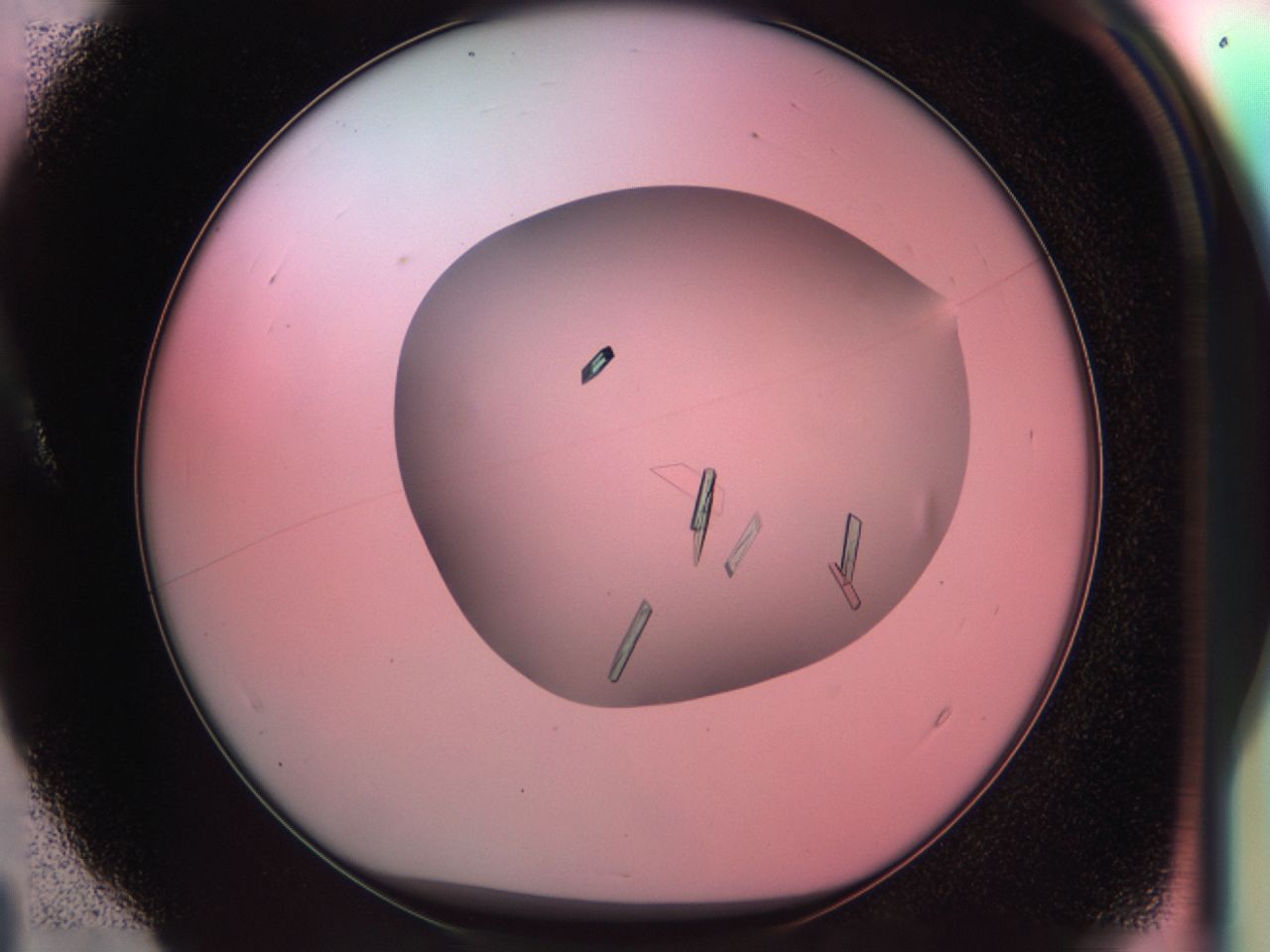 038f_A4_ImagerDefaults_9.jpg