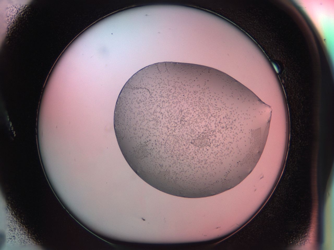 038f_A7_ImagerDefaults_9.jpg