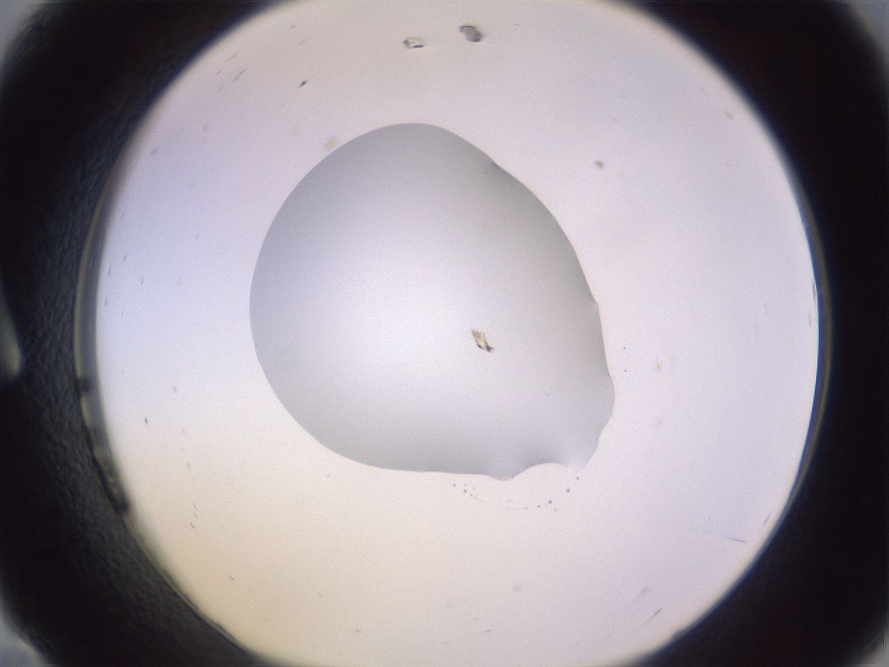 folderID417_plateID1417_batchID5188_wellNum11_profileID1_d1_r86620_ef.jpg