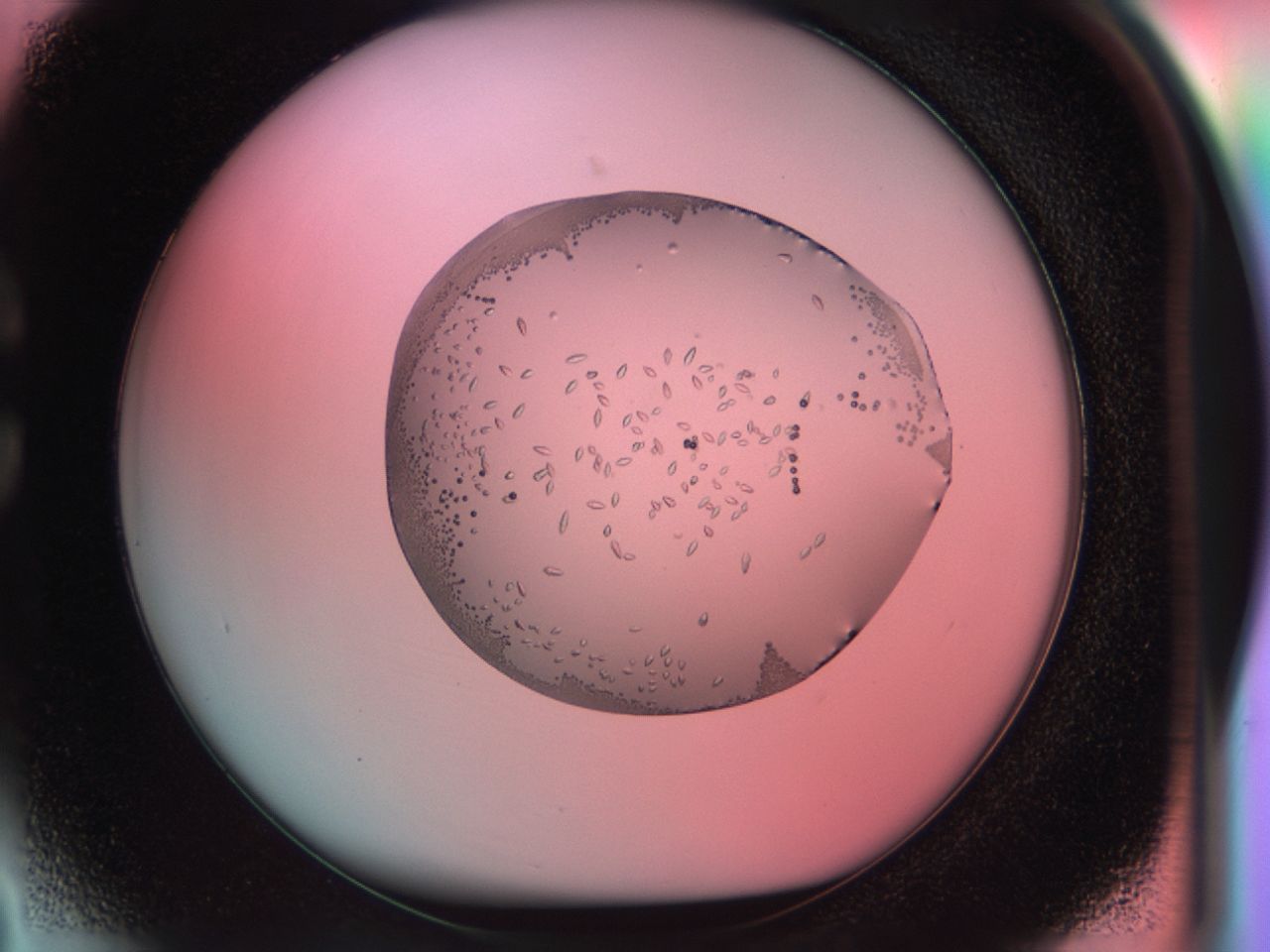 038g_C3_ImagerDefaults_9.jpg