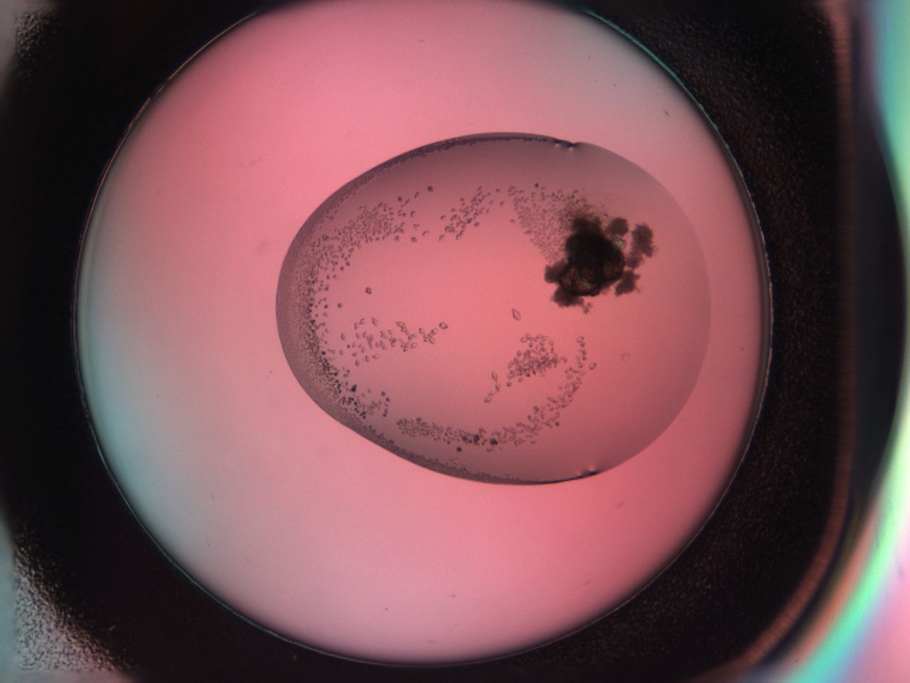 038g_D1_ImagerDefaults_9.jpg