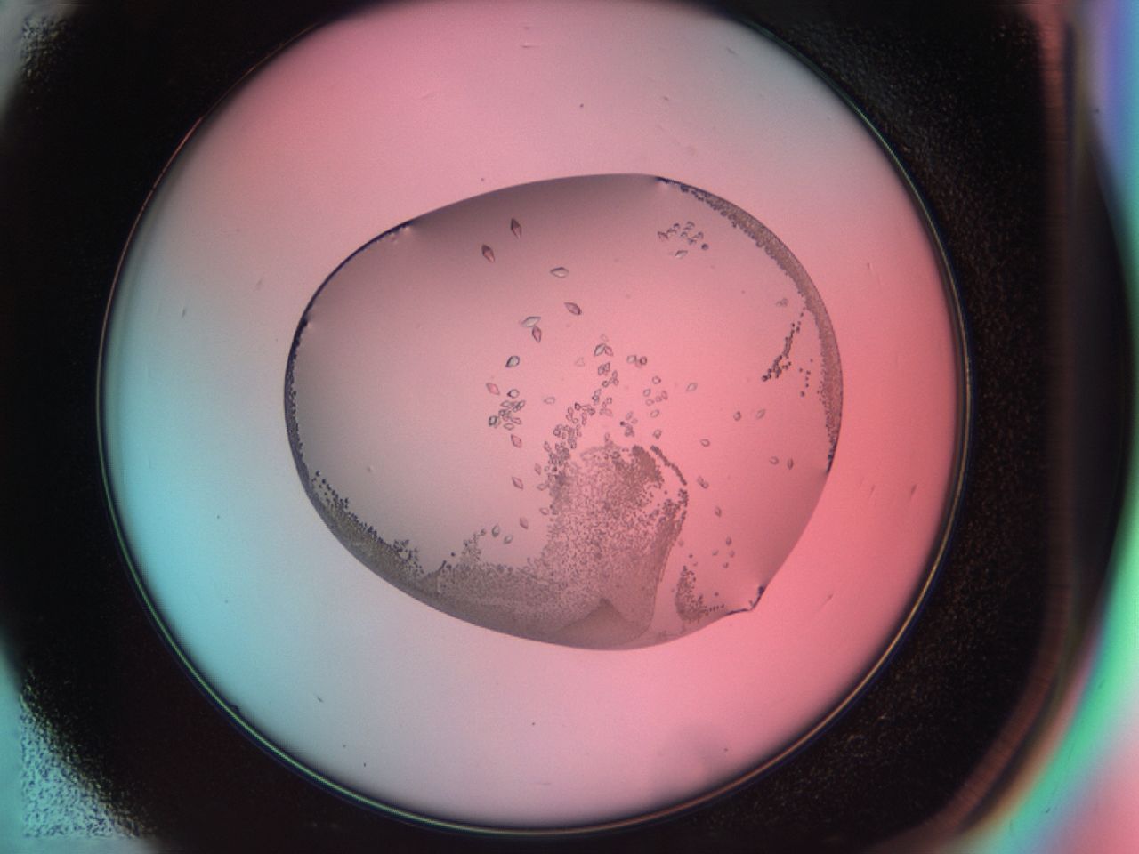 038g_D3_ImagerDefaults_9.jpg