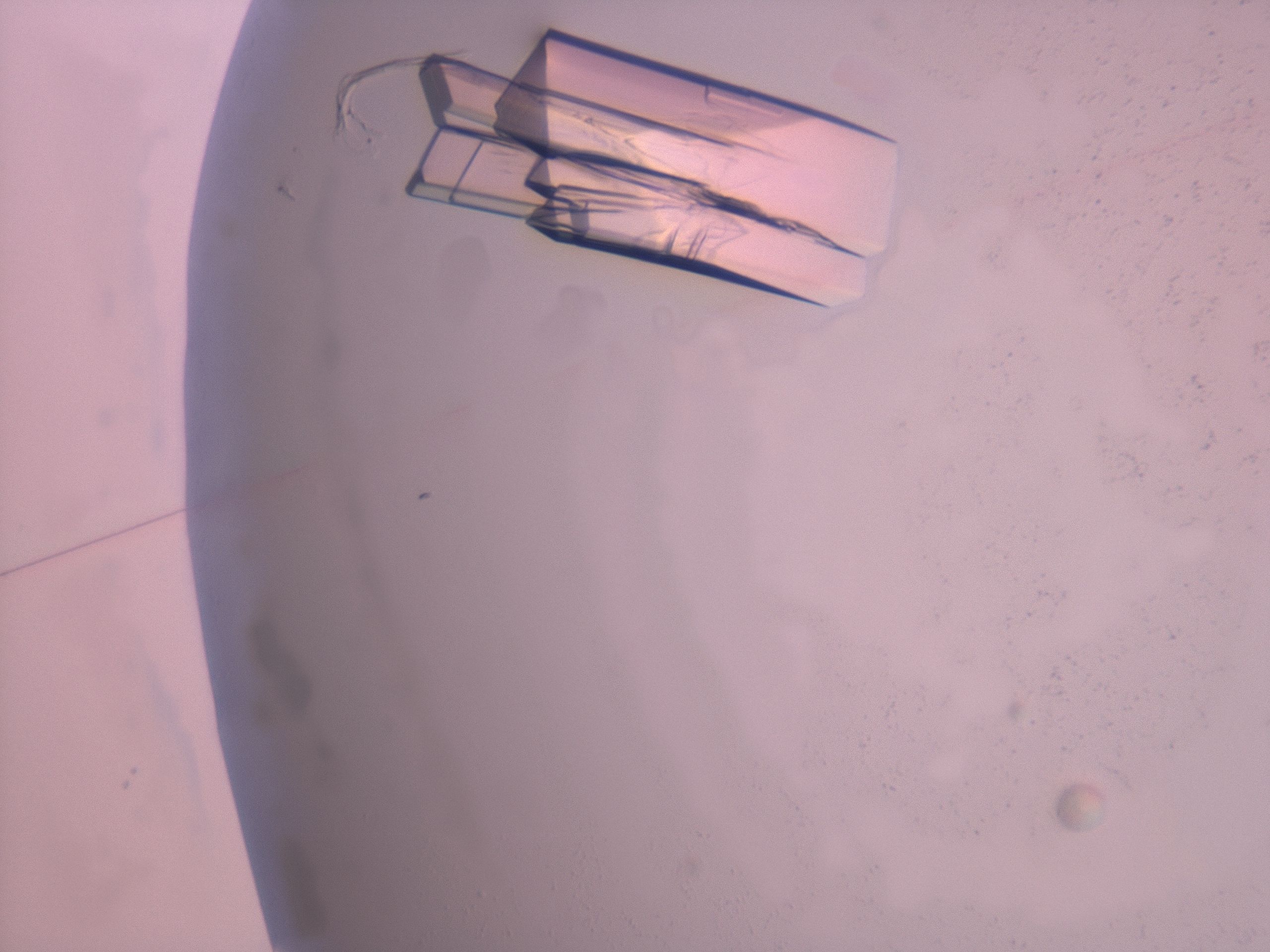 038g_A4_HighResolution_9.jpg