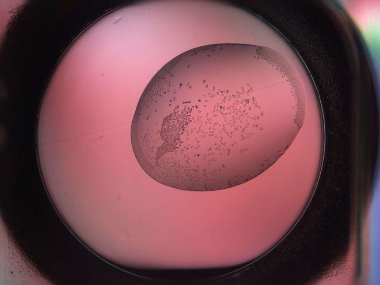 038g_C1_ImagerDefaults_9.jpg