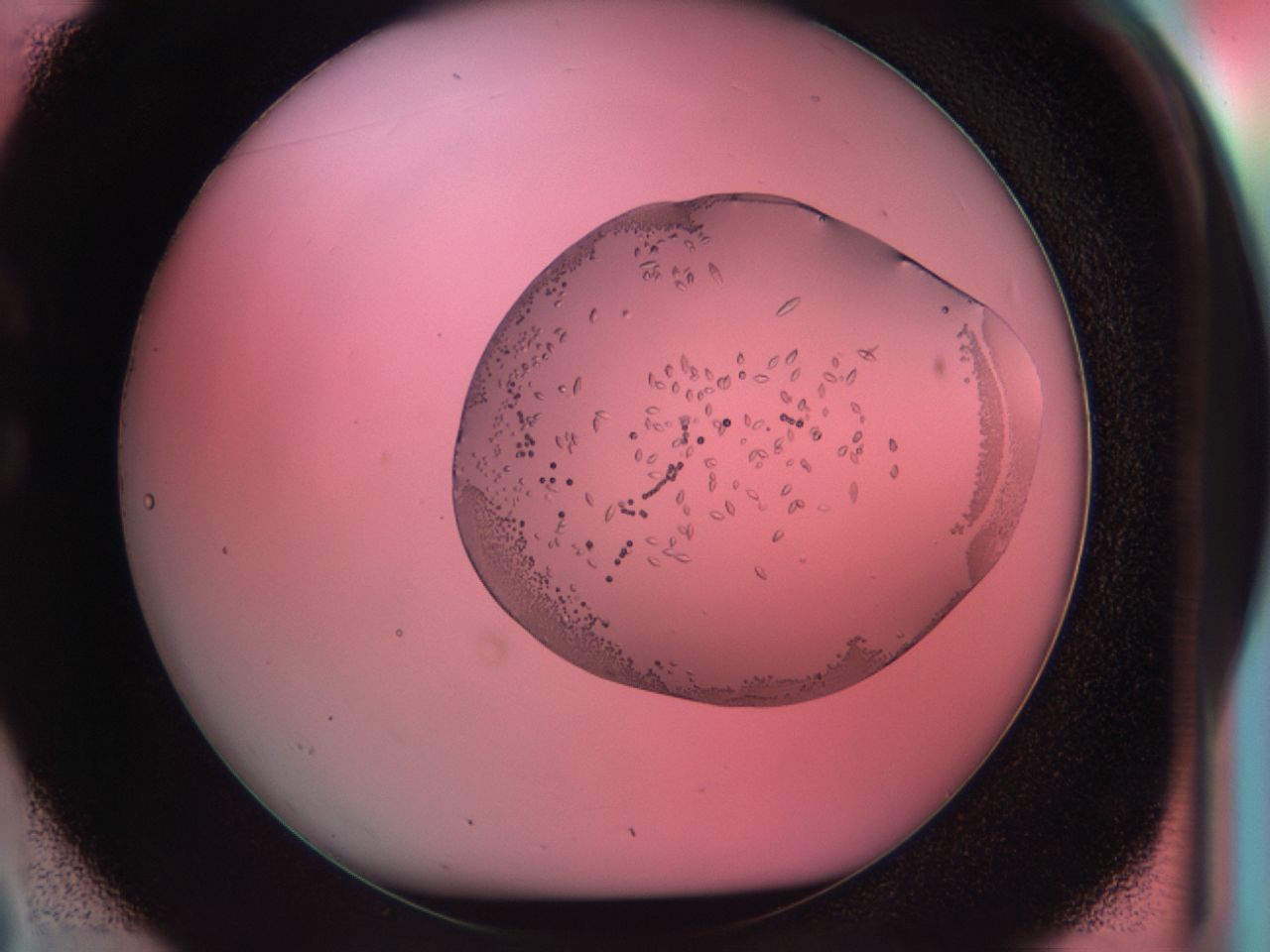 038g_C2_ImagerDefaults_9.jpg