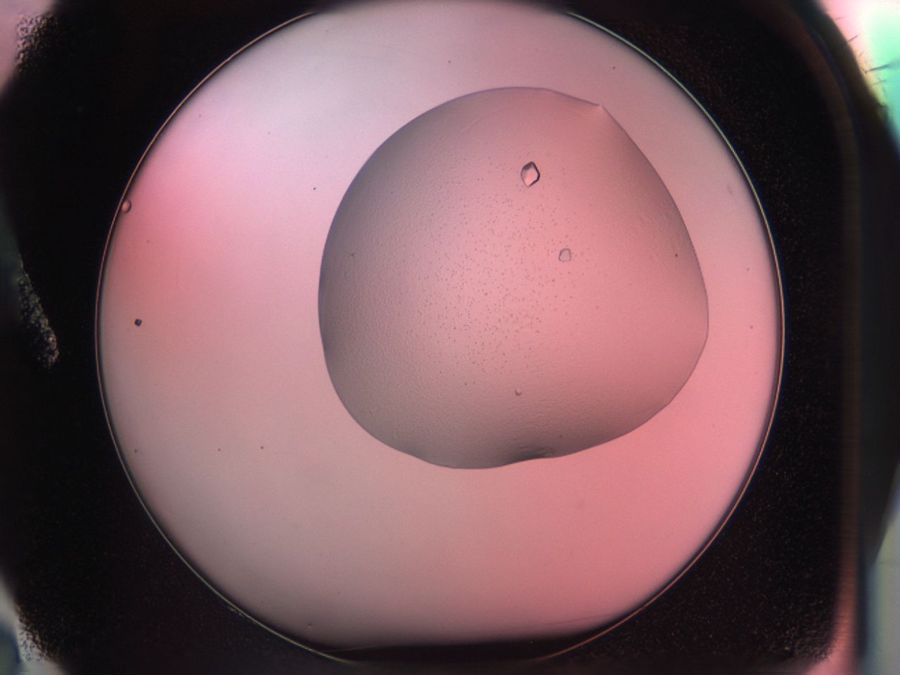 038g_A2_ImagerDefaults_9.jpg