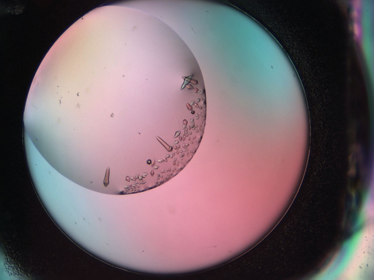 038g_G12_ImagerDefaults_9.jpg