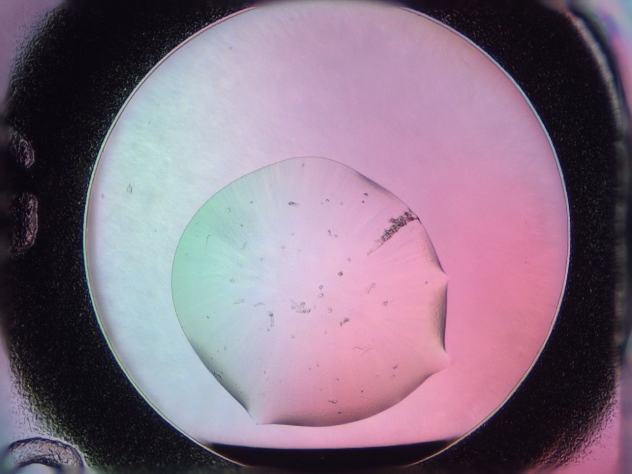 038s_G12_ImagerDefaults_6.jpg