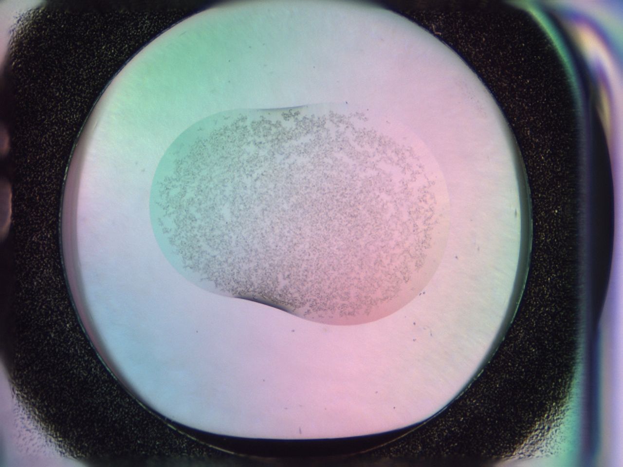 039g_G8_ImagerDefaults_6.jpg