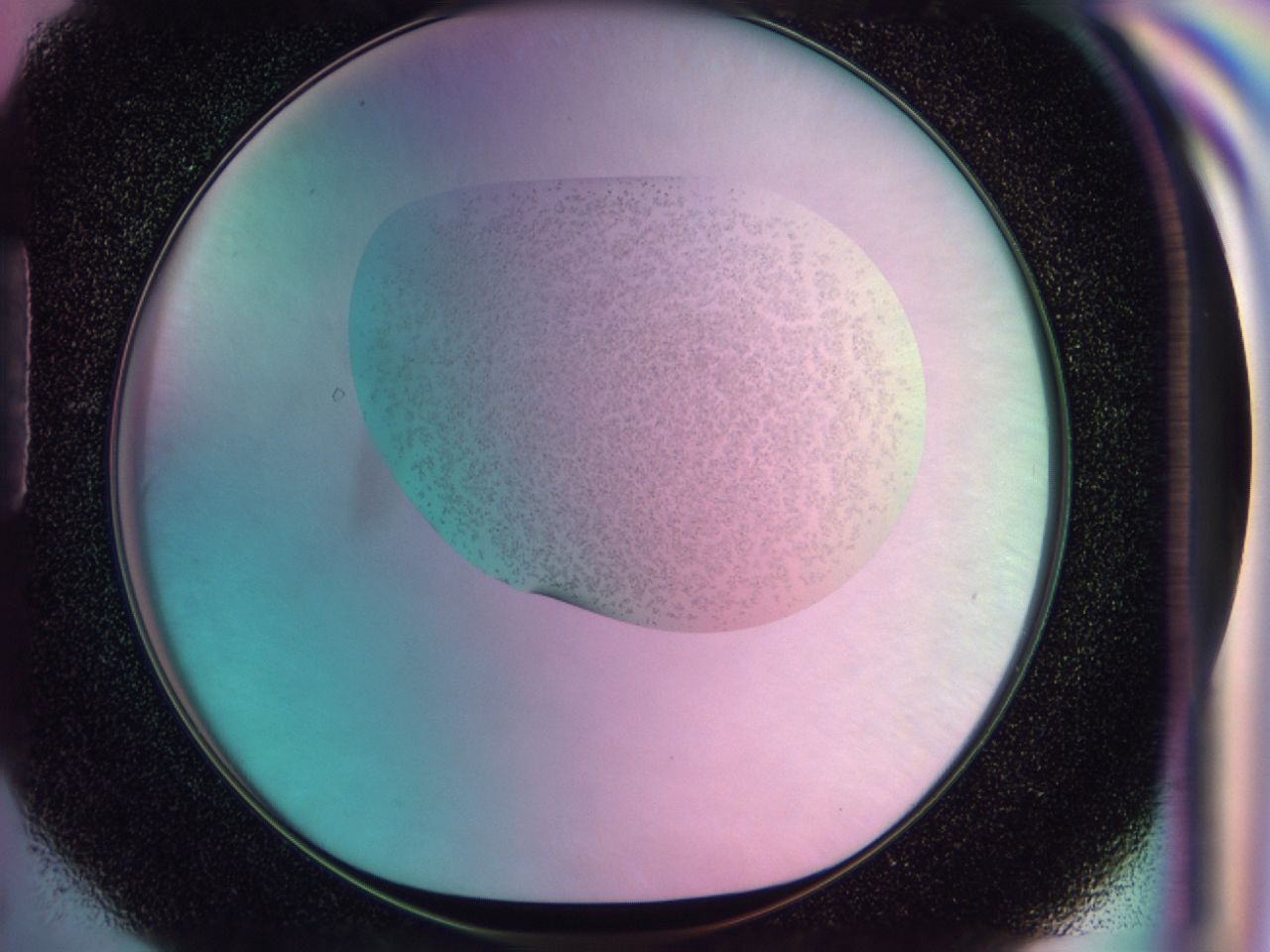 039g_H6_ImagerDefaults_6.jpg