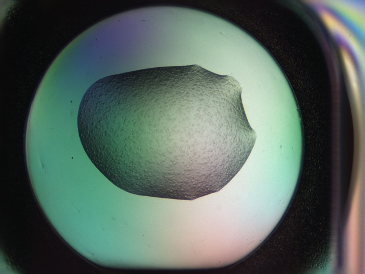 039l_H7_ImagerDefaults_6.jpg
