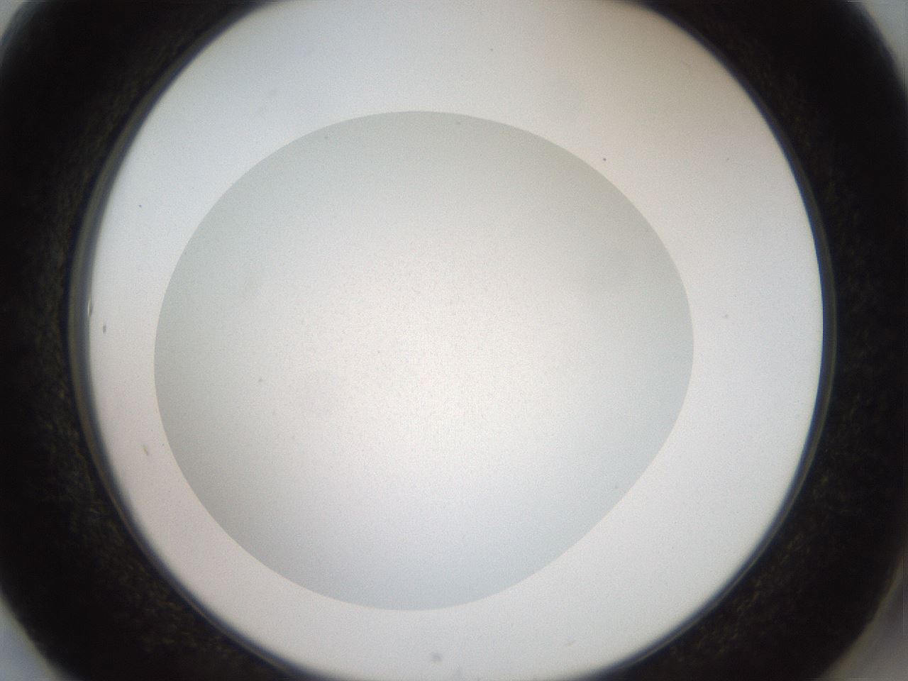 folderID41_plateID2041_batchID9006_wellNum61_profileID1_d2_r137392_ef.jpg