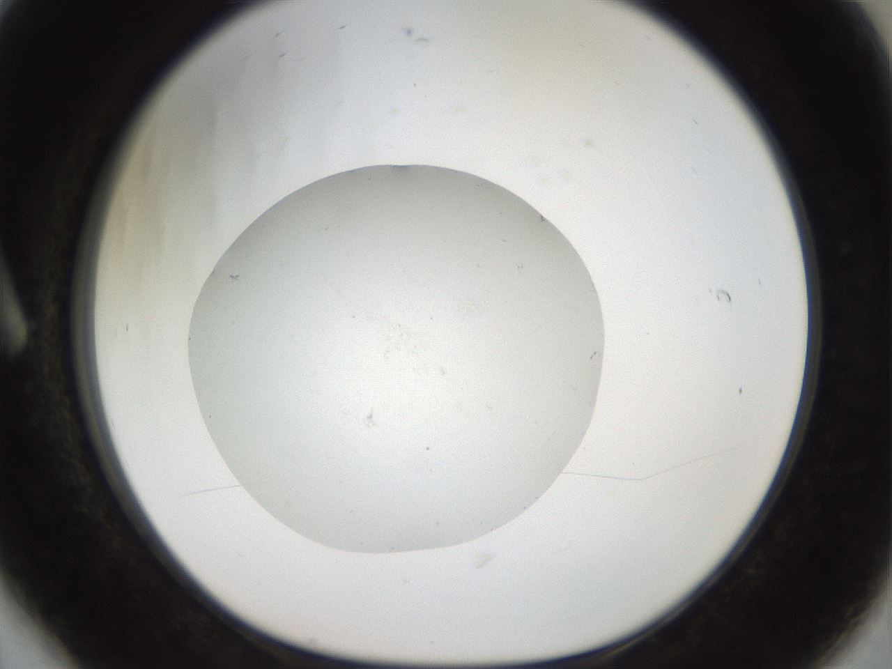 folderID41_plateID2041_batchID9006_wellNum6_profileID1_d1_r137281_ef.jpg