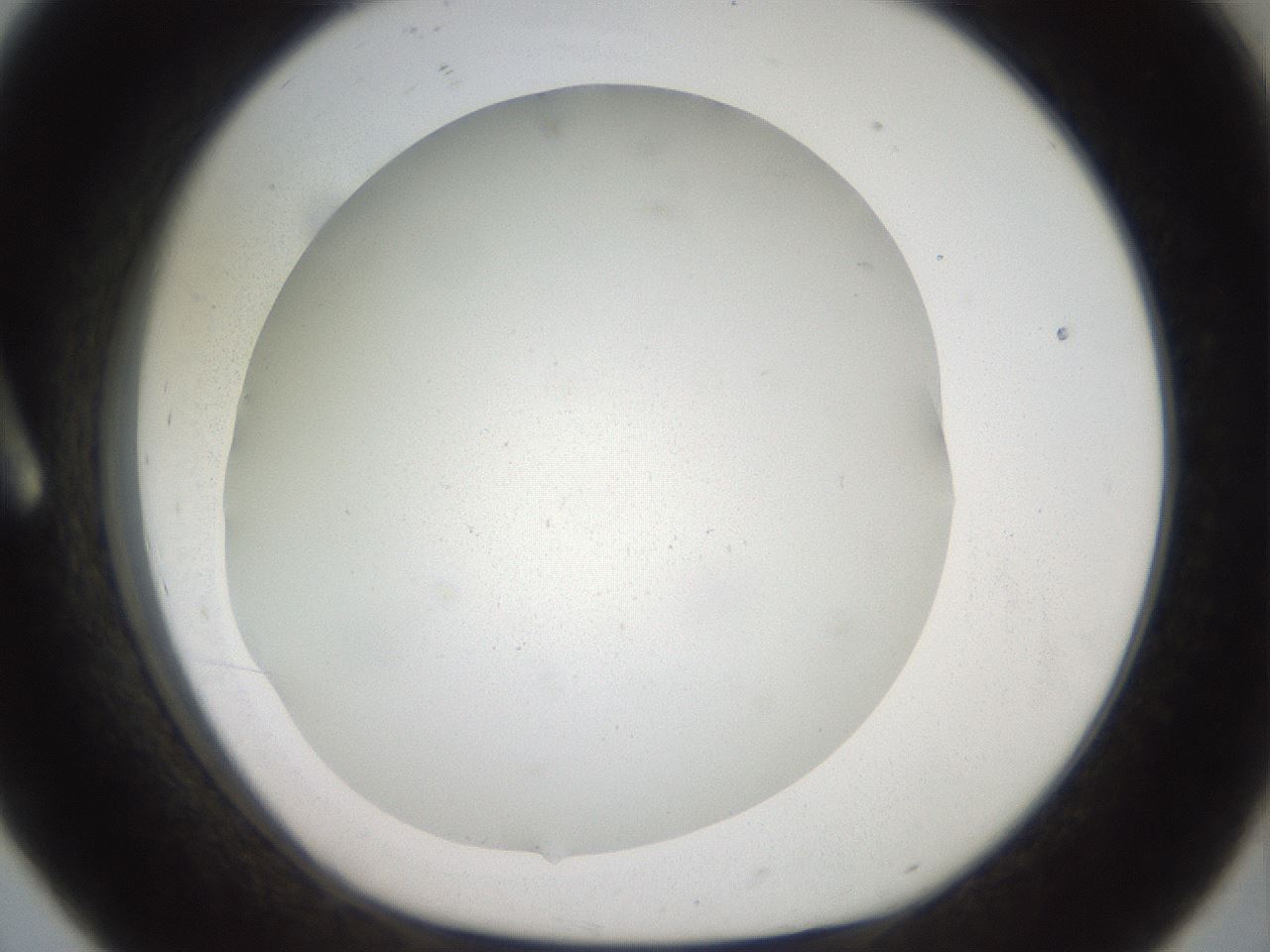folderID41_plateID2041_batchID9006_wellNum8_profileID1_d1_r137285_ef.jpg